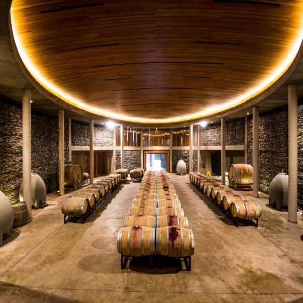 Visit Viña Matetic Vineyards