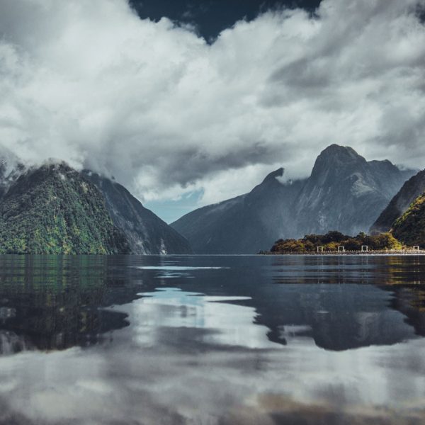 Fly & Cruise Milford Sound