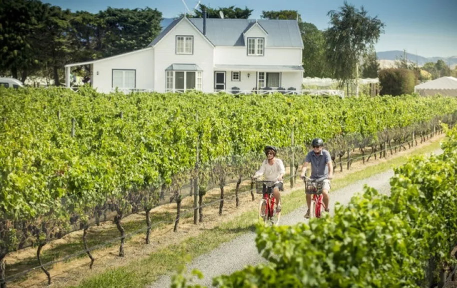 Martinborough Cycling the Vines 11