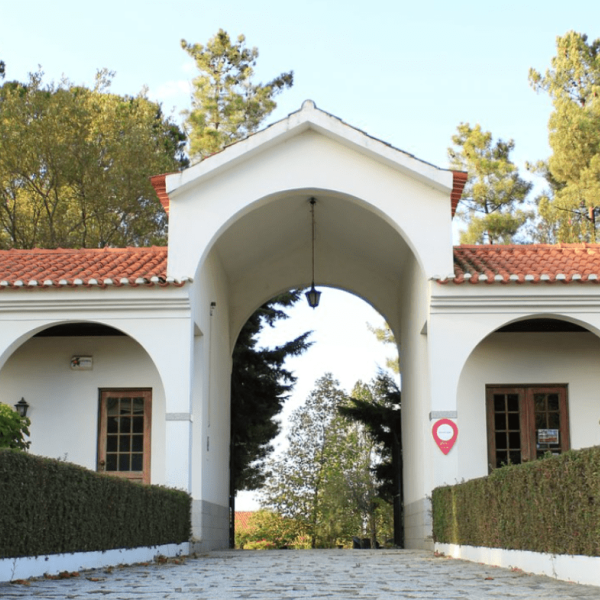 Savor Dão Wines at Cabriz Wine Estate