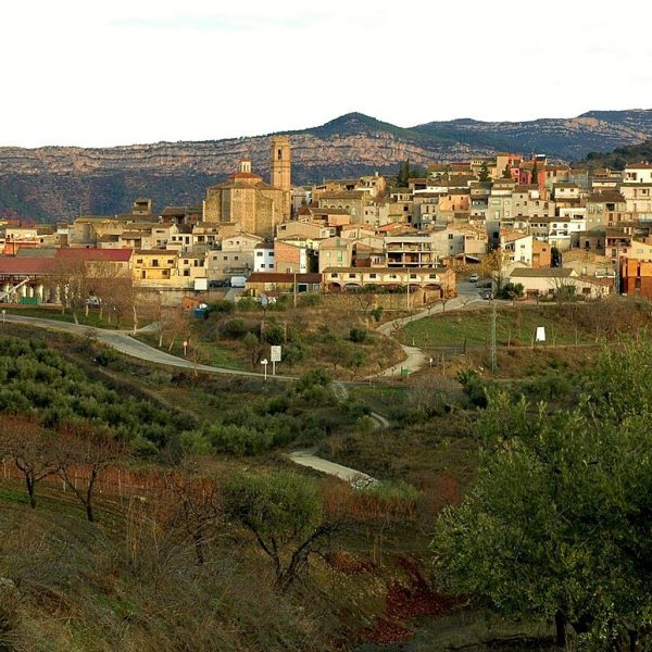 Explore the Priorat Wine Region