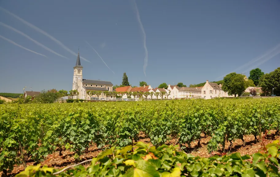 2880px Aloxe corton entre vignes