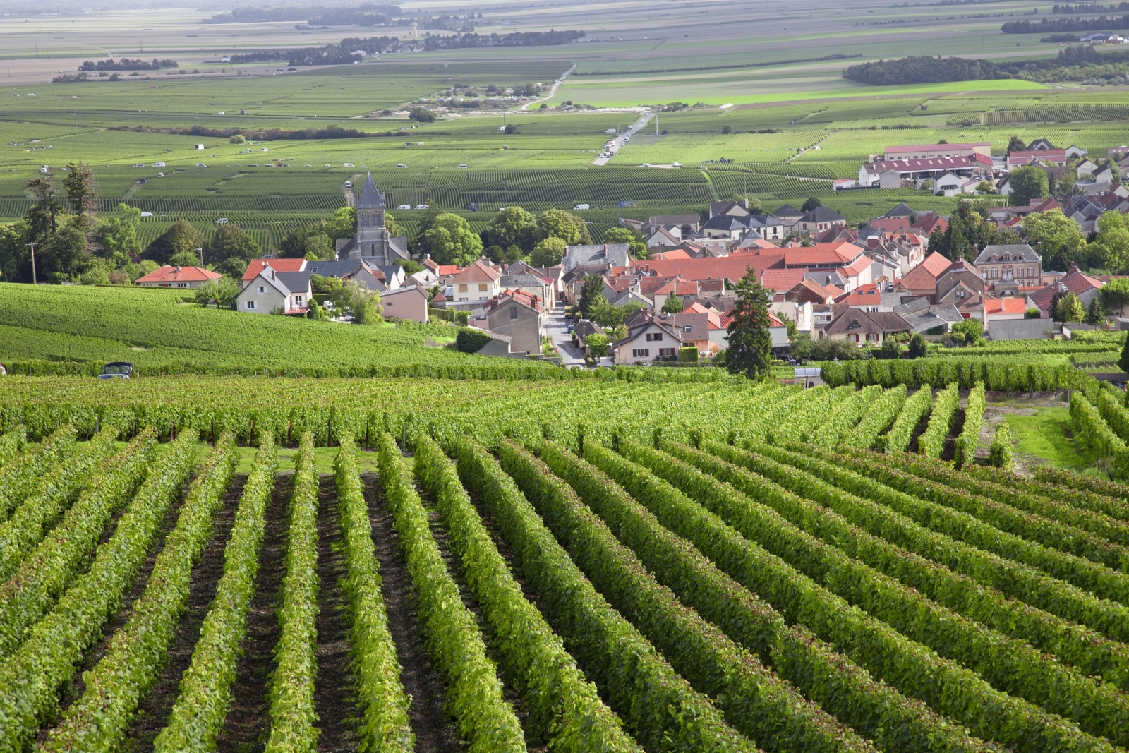 Burgundy Vineyards Hero