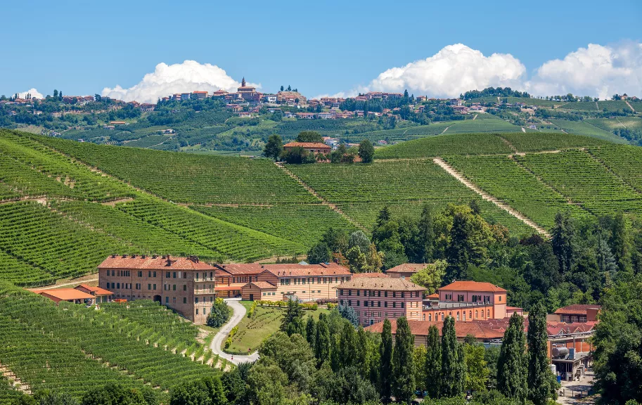 Piedmont Countryside